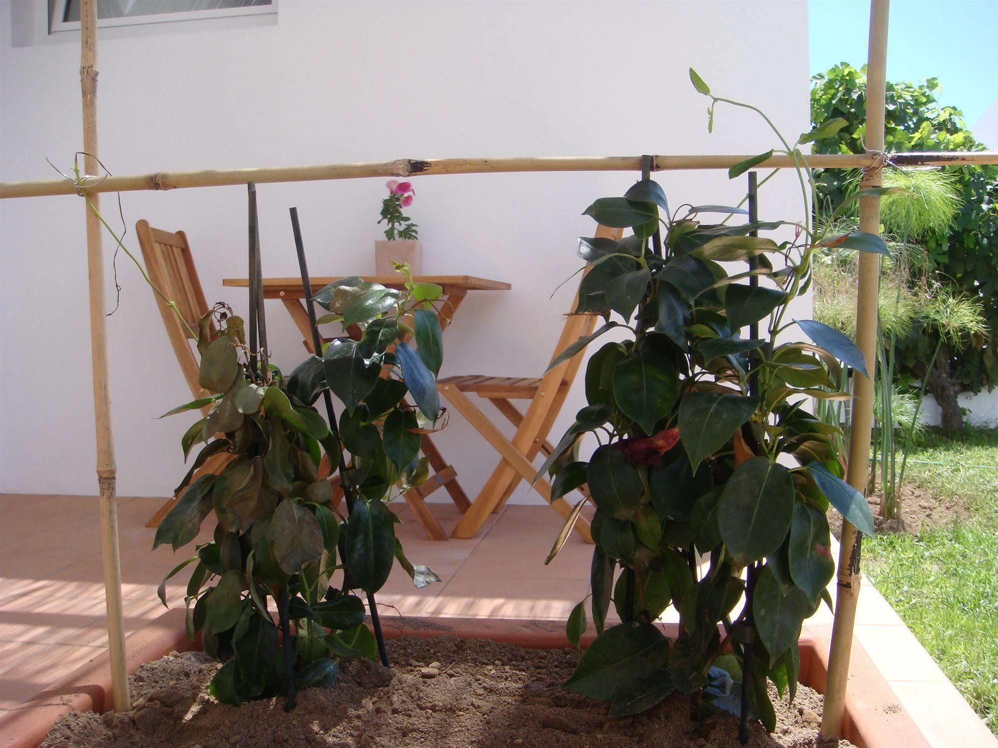 Casa Da Ilha - Slow Living Residence & Suites Ponta Delgada المظهر الخارجي الصورة